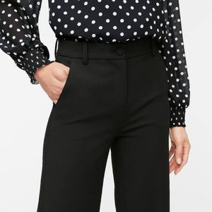 JCrew work pants